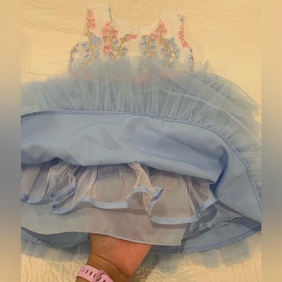 Toddler spring dress size 2T. Lined so that it isn’t itchy! Worn once. - Picture 4 of 4